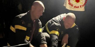 Serra Riccò, capriolo cade in piscina e rischia di affogare capriolo piscina vigili del fuoco