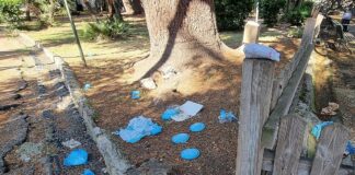 Castelletto, compleanno a Villa Gruber e abbandonano i rifiuti Villa Gruber Castelletto rifiuti