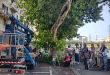 Genova, alberi abbattuti in corso Galliera, manifestazione ed esposto corso Galliera protesta alberi abbattuti