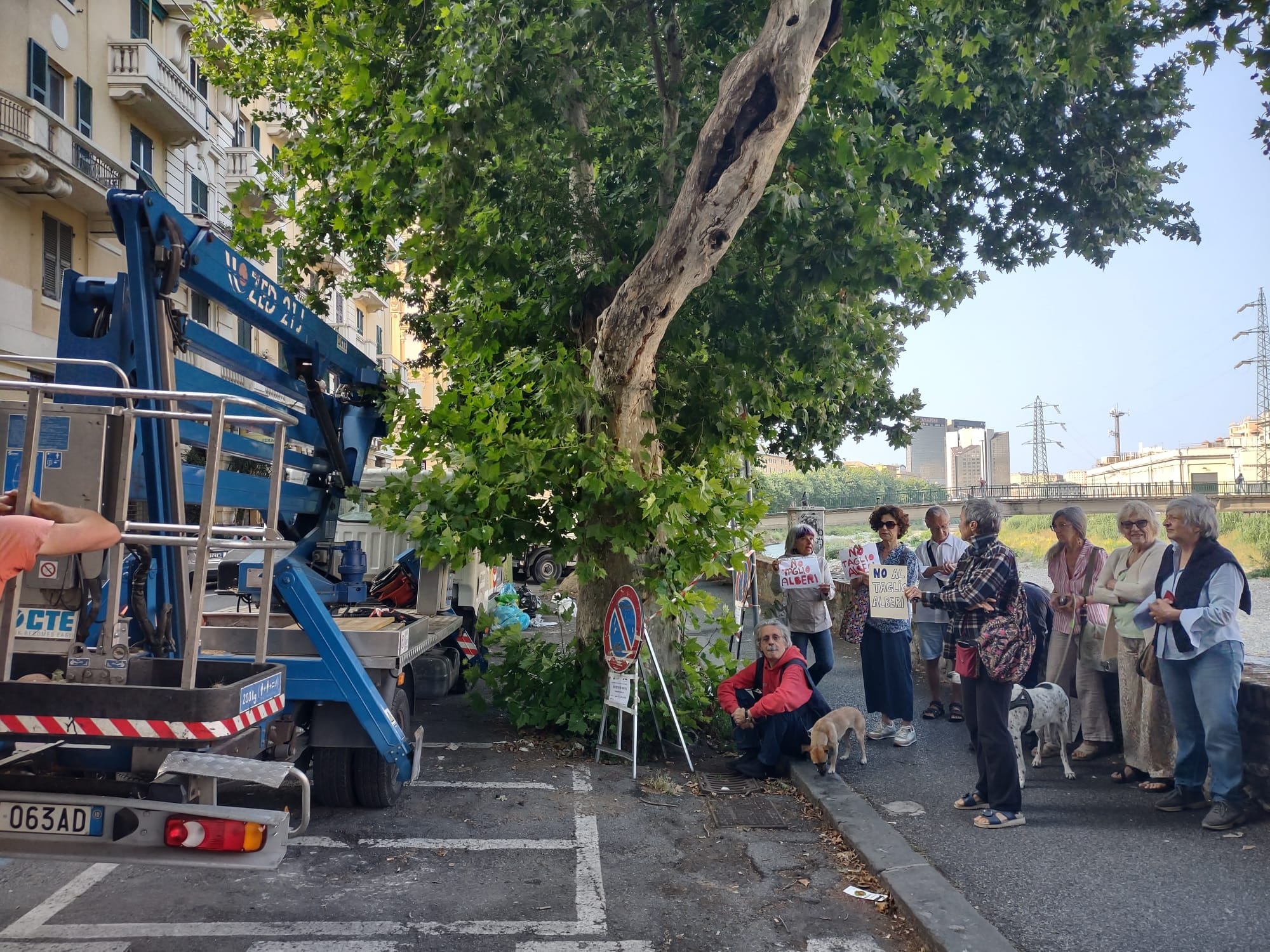 corso Galliera protesta alberi abbattuti