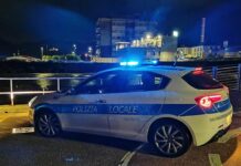 Savona, cane investito e ucciso: il padrone dà in escandescenze e viene arrestato polizia locale savona