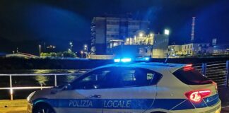 Savona, cane investito e ucciso: il padrone dà in escandescenze e viene arrestato polizia locale savona