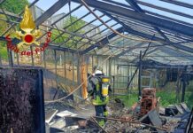 Taggia, fiamme in una serra, arrivano i vigili del fuoco Taggia incendio serra