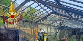 Taggia, fiamme in una serra, arrivano i vigili del fuoco Taggia incendio serra