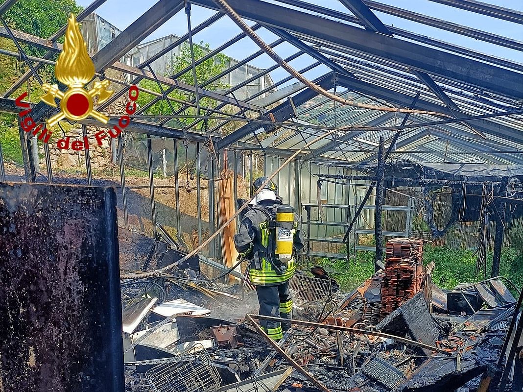 Taggia incendio serra