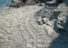 tartaruga caretta nido Celle Ligure giugno 2025