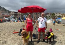 Albissola Marina, salvato dai cani-bagnino del SICS bambino che rischia di annegare Cani SICS Albissola Marina (2)