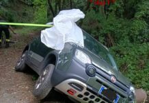 Genova, a Sestri auto finisce fuori strada per evitare cinghiali Sestri Ponente auto fuori strada