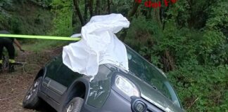 Genova, a Sestri auto finisce fuori strada per evitare cinghiali Sestri Ponente auto fuori strada