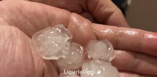 Genova, grandinata in Valbisagno, chicchi come noci fanno danni grandine Genova