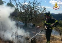 Sarzana, incendio boschivo in località Prulla: sul posto i Vigili del Fuoco
