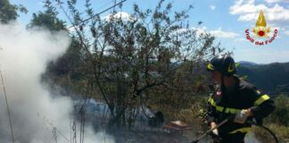 Sarzana, incendio boschivo in località Prulla: sul posto i Vigili del Fuoco