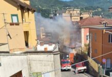 Busalla, morti due gatti nell’incendio di ieri in un negozio Incendio centro estetico Busalla