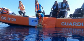 L’aggiornamento sui nidi di tartaruga Caretta in Liguria, continua il monitoraggio Tartaruga Caretta caretta Julia