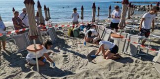 Alassio, nuovo nido di tartaruga Caretta: è l’undicesimo dell’estate