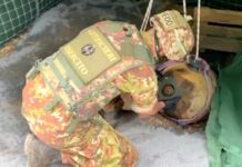 Albenga, disinnescata la bomba da aereo da 500 chili albenga bomba residuato bellico