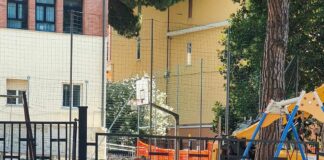 Celle Ligure, blitz dei carabinieri forestali per il taglio dei pini alberi abbattuti Celle Ligure