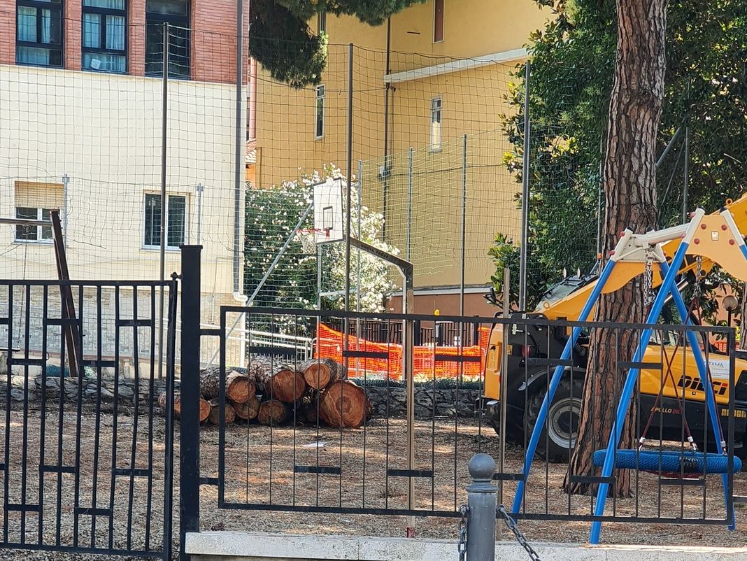 alberi abbattuti Celle Ligure