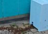 sciame api Rapallo