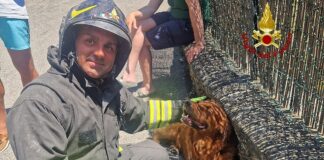 Santa Margherita Ligure, incendio in una villetta, salvato un cane cane salvato incendio a Santa