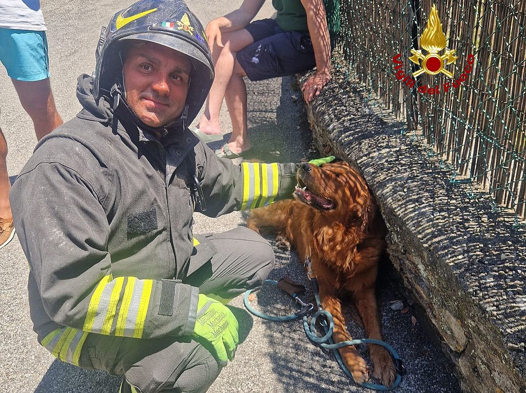 cane salvato incendio a Santa