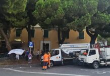 Genova, abbattimento alberi a Carignano, torna la protesta alberi abbattuti Carignano