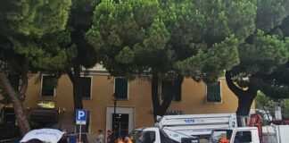 Genova, abbattimento alberi a Carignano, torna la protesta alberi abbattuti Carignano