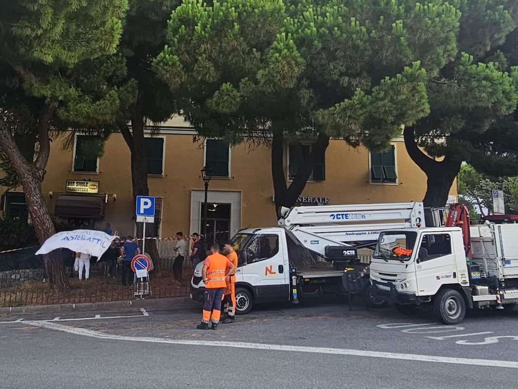 alberi abbattuti Carignano