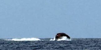 Bordighera, una Smart segnalata in mare, ma è una jet-capsule jet capsule Bordighera