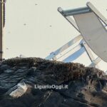 sciame api bagni scogliera
