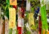 Genova, torna Tanabata, la festa delle stelle innamorate Tanabata festa giapponese