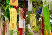 Genova, torna Tanabata, la festa delle stelle innamorate Tanabata festa giapponese
