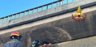 Genova, chiusi gli accessi alla Sopraelevata da Genova Ovest e via Cantore Crollo calcinacci Sopraelevata Genova