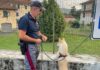 cane ritrovato polizia stradale