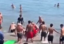 Rissa spiaggia Alassio