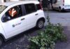 Maltempo a Genova, interventi Aster per rami caduti per il vento Aster rami caduti