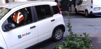 Maltempo a Genova, interventi Aster per rami caduti per il vento Aster rami caduti