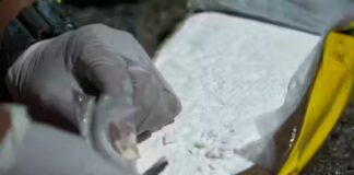 Ventimiglia, nascondeva 4 kg di cocaina nell’armadio, arrestato cocaina involucro panetto