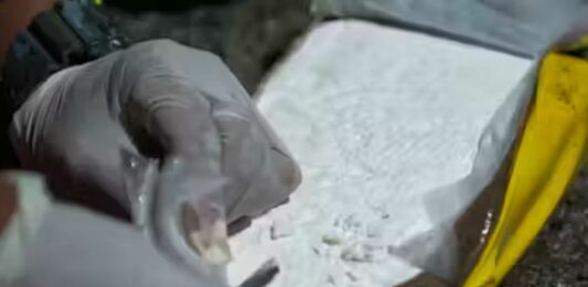 Genova, 13 chili di cocaina in auto, fermato al casello di Genova Ovest cocaina involucro panetto