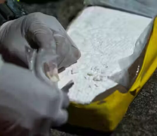 Genova, 13 chili di cocaina in auto, fermato al casello di Genova Ovest cocaina involucro panetto