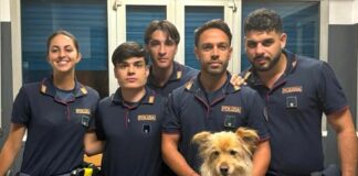 Genova, cane impaurito corre sulla Sopraelevata, salvato cane salvato su Sopraelevata polizia