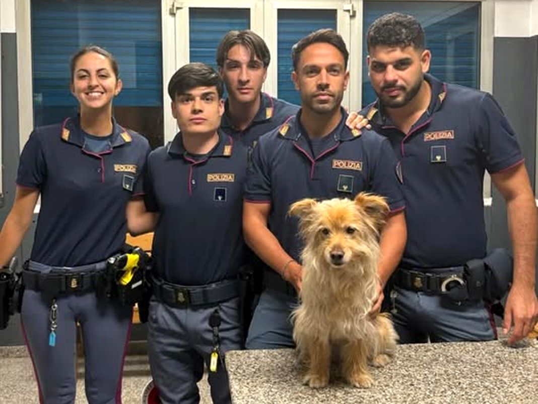 cane salvato su Sopraelevata polizia