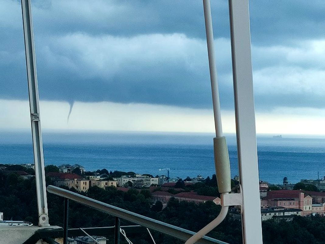 tromba marina Quinto