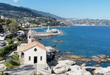 Bordighera, caccia al cane che aggredisce e uccide altri animali Bordighera Capo Sant'Ampelio