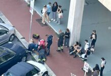 Genova, gattino intrappolato in un tombino viene salvato dai vigili del fuoco Gattino salvato piazza Rossetti