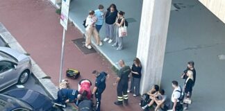 Genova, gattino intrappolato in un tombino viene salvato dai vigili del fuoco Gattino salvato piazza Rossetti