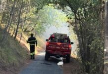 Incendio a Diano Marina, fiamme vicino alle case: intervengono gli elicotteri Incendio Diano Calderina