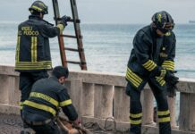 Celle Ligure, capriolo in pericolo sulla scogliera, arrivano i vigili del fuoco capriolo celle ligure vigili del fuoco