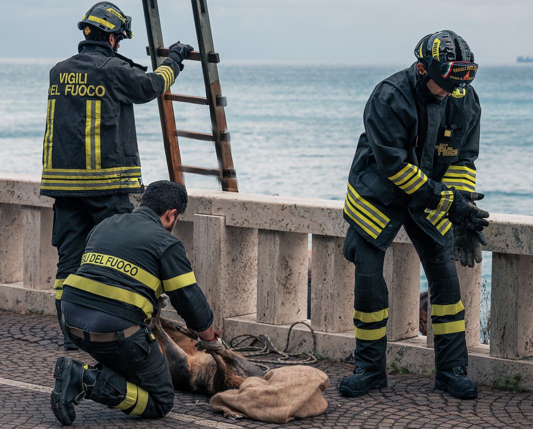 capriolo celle ligure vigili del fuoco