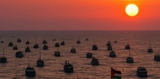 Global Sumud Flotilla proseguirà la missione umanitaria global sumud flotilla